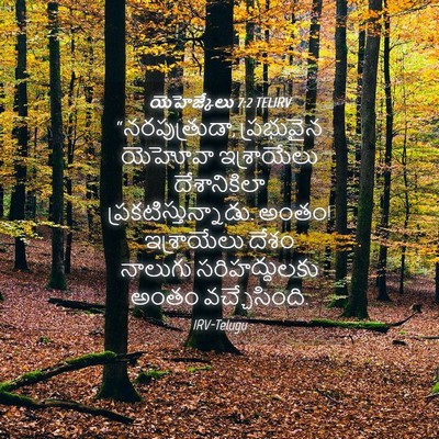 Picture 04 - యెహెజ్కేలు 7:2 TELIRV - “నరపుత్రుడా, - Bible Verse Picture