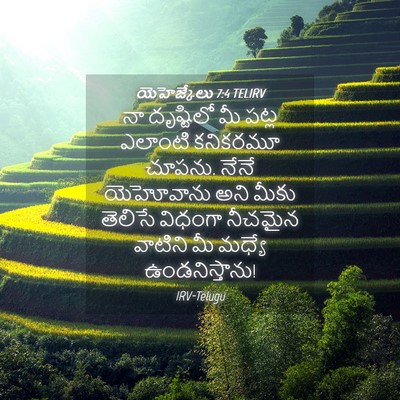 Picture 04 - యెహెజ్కేలు 7:4 TELIRV - నా దృష్టిలో మీ - Bible Verse Picture