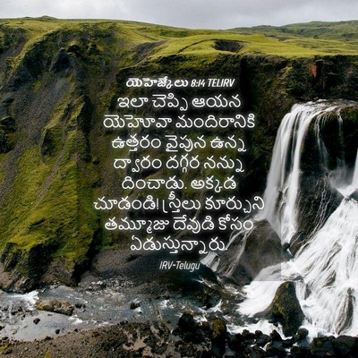 Picture 04 - యెహెజ్కేలు 8:14 TELIRV - ఇలా చెప్పి ఆయన - Bible Verse Picture
