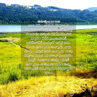 Picture 04 - యెహెజ్కేలు 8:16 TELIRV - ఇలా చెప్పి ఆయన - Bible Verse Picture