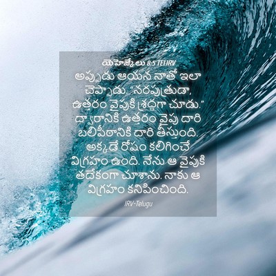 Picture 04 - యెహెజ్కేలు 8:5 TELIRV - అప్పుడు ఆయన నాతో - Bible Verse Picture