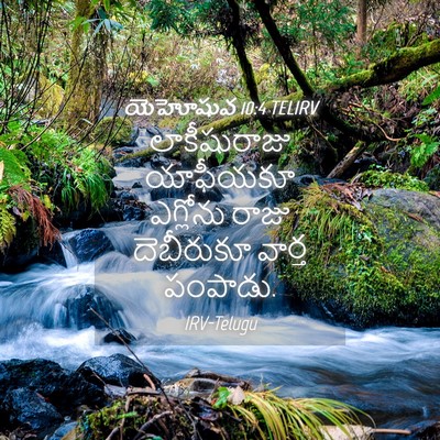 Picture 04 - యెహోషువ 10:4 TELIRV - లాకీషురాజు - Bible Verse Picture
