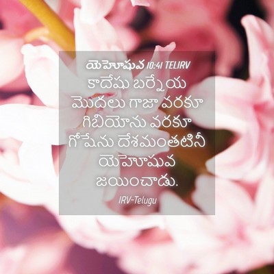 Picture 04 - యెహోషువ 10:41 TELIRV - కాదేషు బర్నేయ - Bible Verse Picture