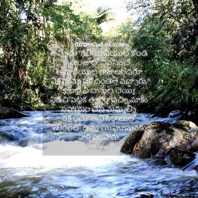 Picture 04 - యెహోషువ 10:6 TELIRV - అప్పుడు - Bible Verse Picture