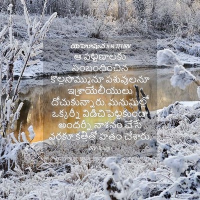 Picture 04 - యెహోషువ 11:14 TELIRV - ఆ పట్టణాలకు - Bible Verse Picture
