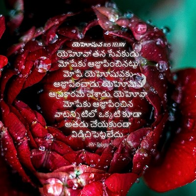 Picture 04 - యెహోషువ 11:15 TELIRV - యెహోవా తన సేవకుడు - Bible Verse Picture