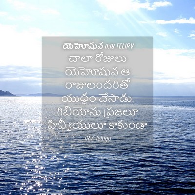 Picture 04 - యెహోషువ 11:18 TELIRV - చాలా రోజులు - Bible Verse Picture