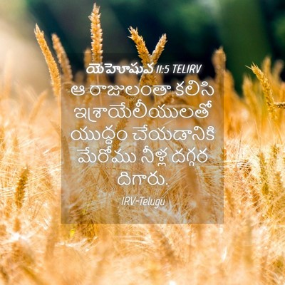 Picture 04 - యెహోషువ 11:5 TELIRV - ఆ రాజులంతా కలిసి - Bible Verse Picture