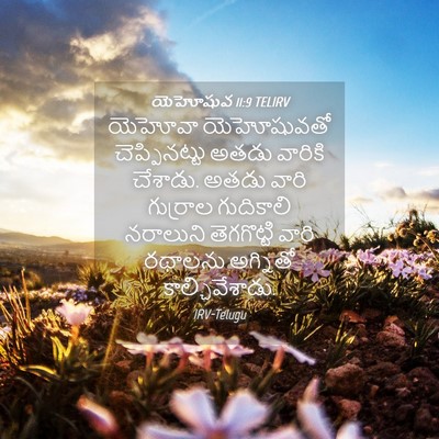 Picture 04 - యెహోషువ 11:9 TELIRV - యెహోవా యెహోషువతో - Bible Verse Picture