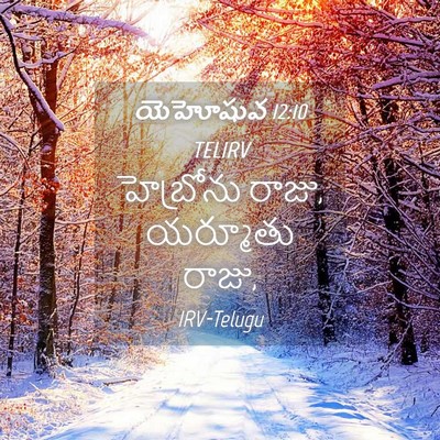 Picture 04 - యెహోషువ 12:10 TELIRV - హెబ్రోను రాజు, - Bible Verse Picture