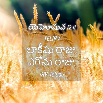 Picture 04 - యెహోషువ 12:11 TELIRV - లాకీషు రాజు, - Bible Verse Picture