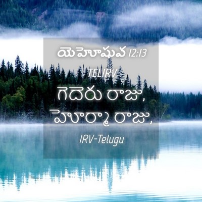Picture 04 - యెహోషువ 12:13 TELIRV - గెదెరు రాజు, - Bible Verse Picture