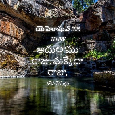 Picture 04 - యెహోషువ 12:15 TELIRV - అదుల్లాము రాజు, - Bible Verse Picture