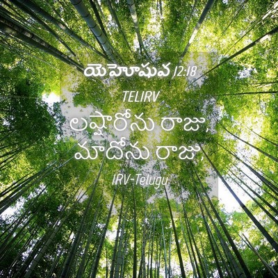 Picture 04 - యెహోషువ 12:18 TELIRV - లష్షారోను రాజు, - Bible Verse Picture