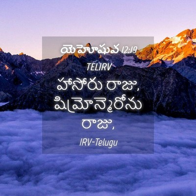 Picture 04 - యెహోషువ 12:19 TELIRV - హాసోరు రాజు, - Bible Verse Picture