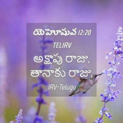 Picture 04 - యెహోషువ 12:20 TELIRV - అక్షాపు రాజు, - Bible Verse Picture