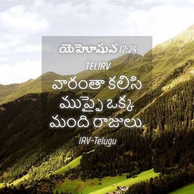 Picture 04 - యెహోషువ 12:24 TELIRV - వారంతా కలిసి - Bible Verse Picture
