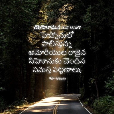 Picture 04 - యెహోషువ 13:10 TELIRV - హెష్బోనులో - Bible Verse Picture