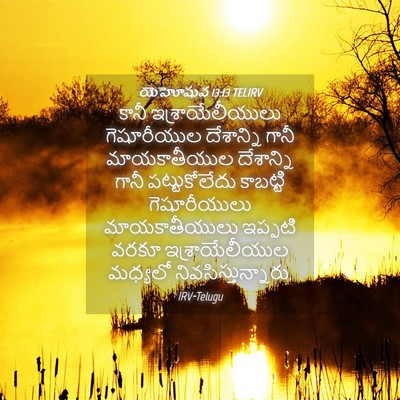 Picture 04 - యెహోషువ 13:13 TELIRV - కానీ - Bible Verse Picture