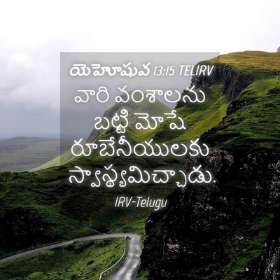 Picture 04 - యెహోషువ 13:15 TELIRV - వారి వంశాలను - Bible Verse Picture