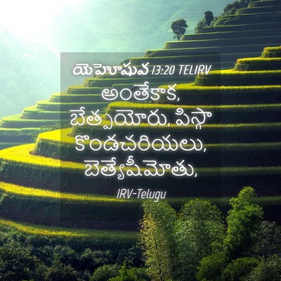 Picture 04 - యెహోషువ 13:20 TELIRV - అంతేకాక, - Bible Verse Picture