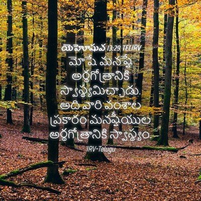 Picture 04 - యెహోషువ 13:29 TELIRV - మోషే మనష్షే - Bible Verse Picture