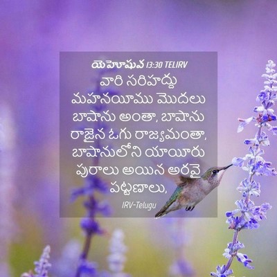 Picture 04 - యెహోషువ 13:30 TELIRV - వారి సరిహద్దు - Bible Verse Picture