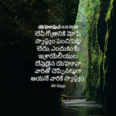 Picture 04 - యెహోషువ 13:33 TELIRV - లేవీ గోత్రానికి - Bible Verse Picture