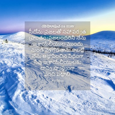 Picture 04 - యెహోషువ 13:6 TELIRV - సీదోను ప్రజలతో - Bible Verse Picture