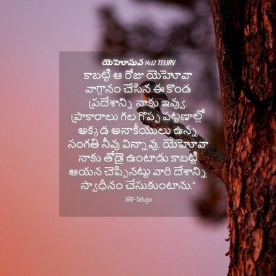 Picture 04 - యెహోషువ 14:12 TELIRV - కాబట్టి ఆ రోజు - Bible Verse Picture