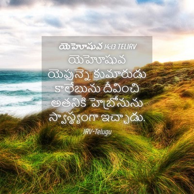 Picture 04 - యెహోషువ 14:13 TELIRV - యెహోషువ యెఫున్నె - Bible Verse Picture