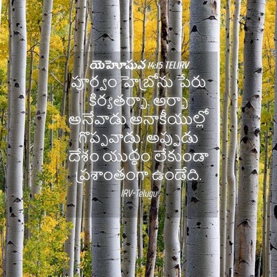 Picture 04 - యెహోషువ 14:15 TELIRV - పూర్వం హెబ్రోను - Bible Verse Picture