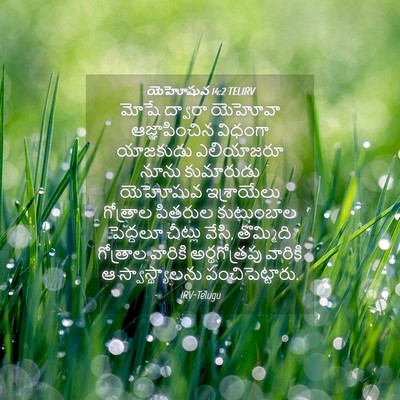 Picture 04 - యెహోషువ 14:2 TELIRV - మోషే ద్వారా - Bible Verse Picture