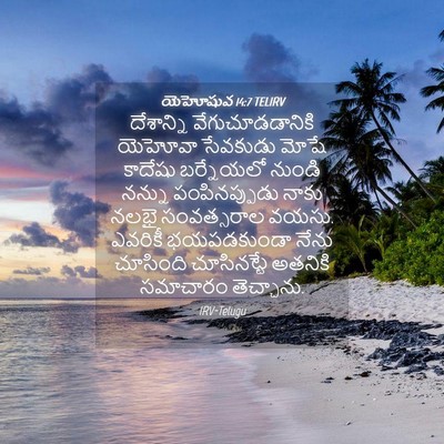 Picture 04 - యెహోషువ 14:7 TELIRV - దేశాన్ని - Bible Verse Picture
