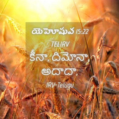 Picture 04 - యెహోషువ 15:22 TELIRV - కీనా, దిమోనా, - Bible Verse Picture
