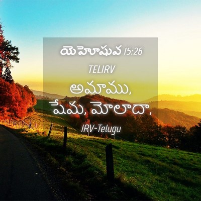Picture 04 - యెహోషువ 15:26 TELIRV - అమాము, షేమ, - Bible Verse Picture