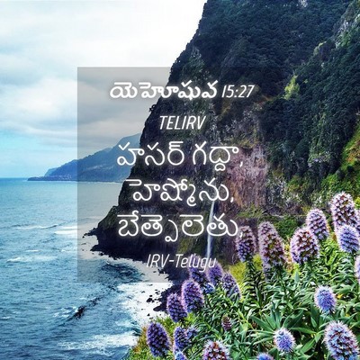 Picture 04 - యెహోషువ 15:27 TELIRV - హసర్ గద్దా, - Bible Verse Picture