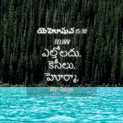 Picture 04 - యెహోషువ 15:30 TELIRV - ఎల్తోలదు, కెసీలు, - Bible Verse Picture