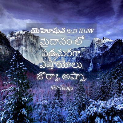 Picture 04 - యెహోషువ 15:33 TELIRV - మైదానం లో పడమరగా, - Bible Verse Picture