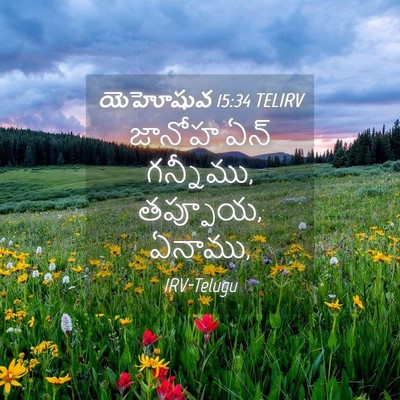 Picture 04 - యెహోషువ 15:34 TELIRV - జానోహ ఏన్ గన్నీము, - Bible Verse Picture