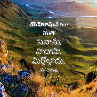 Picture 04 - యెహోషువ 15:37 TELIRV - సెనాను, హదాషా, - Bible Verse Picture