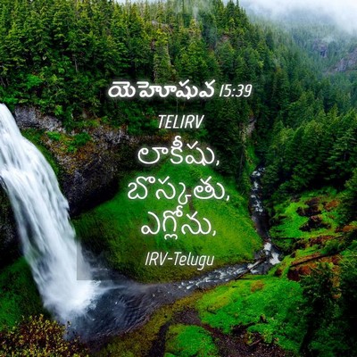 Picture 04 - యెహోషువ 15:39 TELIRV - లాకీషు, బొస్కతు, - Bible Verse Picture