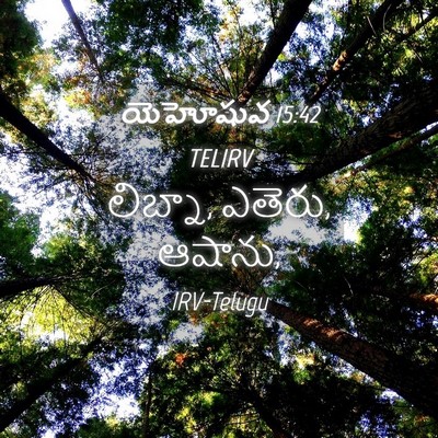 Picture 04 - యెహోషువ 15:42 TELIRV - లిబ్నా, ఎతెరు, - Bible Verse Picture