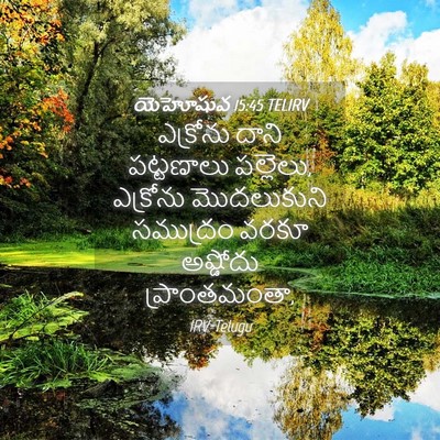 Picture 04 - యెహోషువ 15:45 TELIRV - ఎక్రోను దాని - Bible Verse Picture