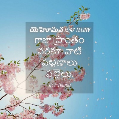 Picture 04 - యెహోషువ 15:47 TELIRV - గాజా ప్రాంతం వరకూ, - Bible Verse Picture