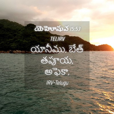 Picture 04 - యెహోషువ 15:53 TELIRV - యానీము, బేత్ తపూయ, - Bible Verse Picture