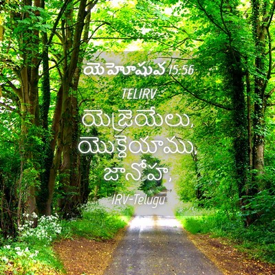 Picture 04 - యెహోషువ 15:56 TELIRV - యెజ్రెయేలు, - Bible Verse Picture