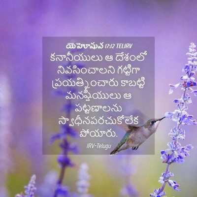 Picture 04 - యెహోషువ 17:12 TELIRV - కనానీయులు ఆ - Bible Verse Picture