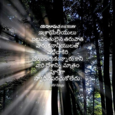 Picture 04 - యెహోషువ 17:13 TELIRV - ఇశ్రాయేలీయులు - Bible Verse Picture
