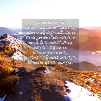 Picture 04 - యెహోషువ 17:15 TELIRV - యెహోషువ వారితో - Bible Verse Picture